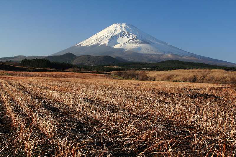 a0188405_11145921.jpg