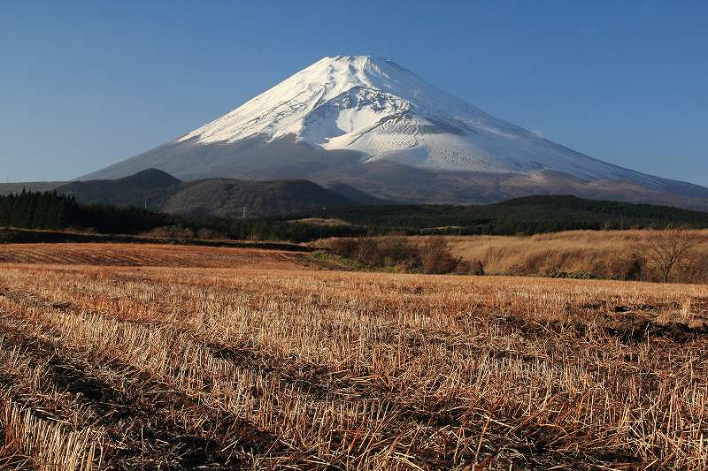 a0188405_1115464.jpg