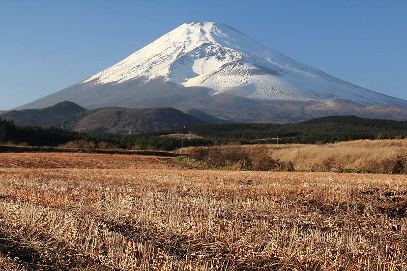 a0188405_1116764.jpg
