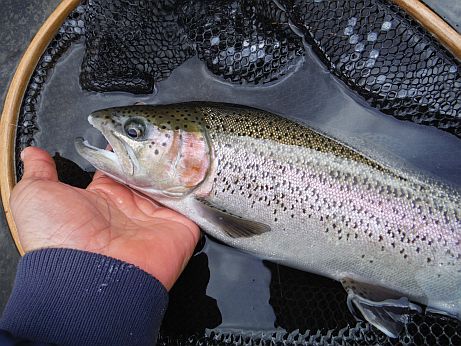 b0172805_1015655.jpg