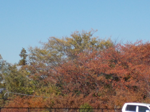 b0277505_22324724.jpg