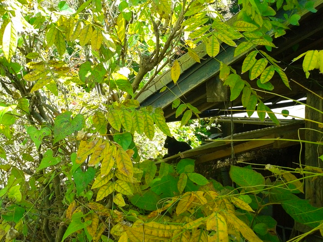 f0024708_5465860.jpg