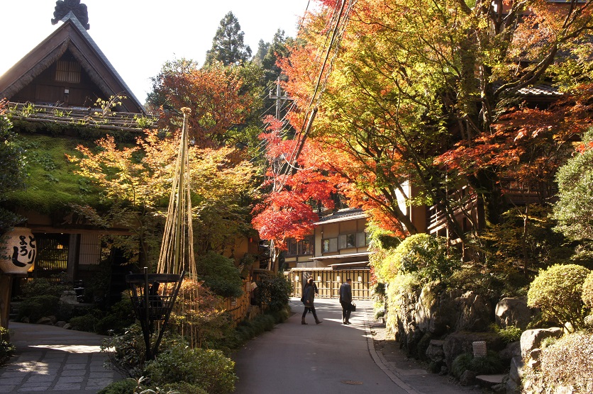 高尾山② うかい鳥山へ_b0112909_23371141.jpg