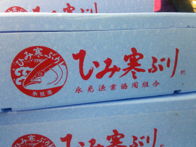 氷見ブリ_f0157910_15325132.jpg