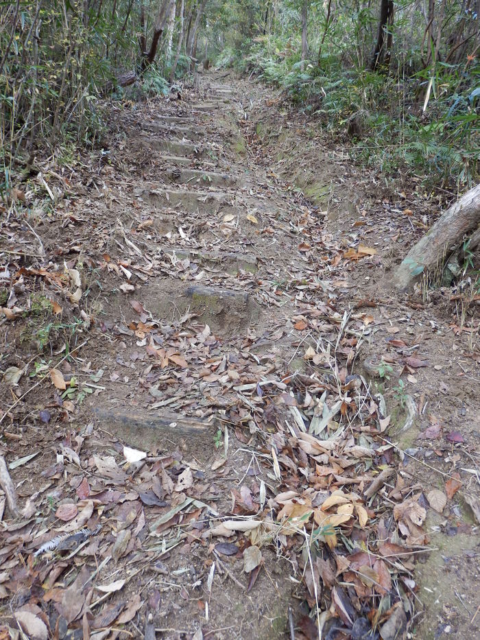 f0219710_80523.jpg