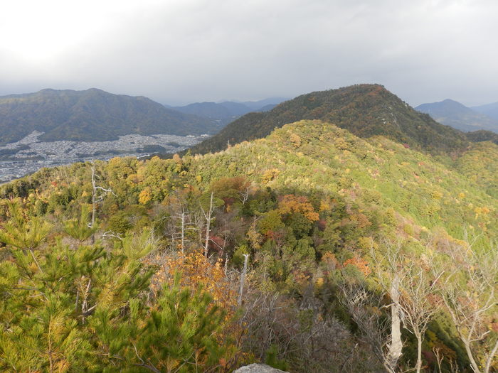 f0219710_8133432.jpg