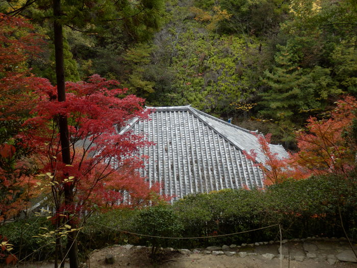 f0219710_895717.jpg