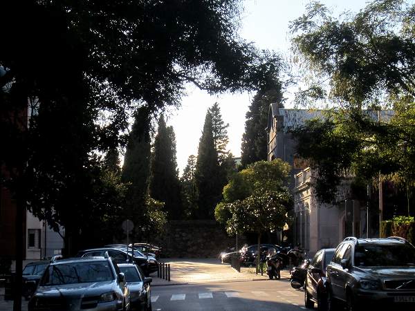 b0064411_661687.jpg