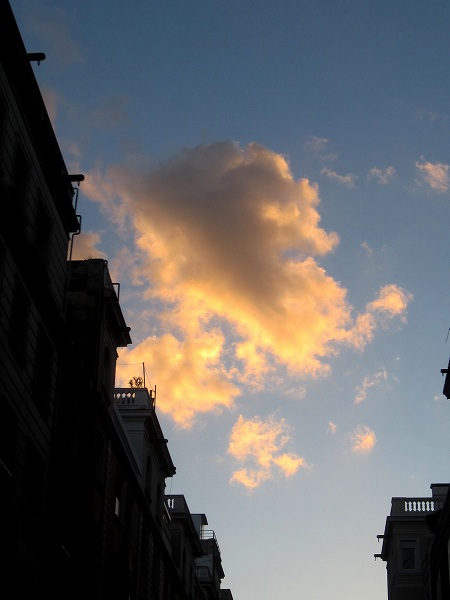 b0064411_683420.jpg