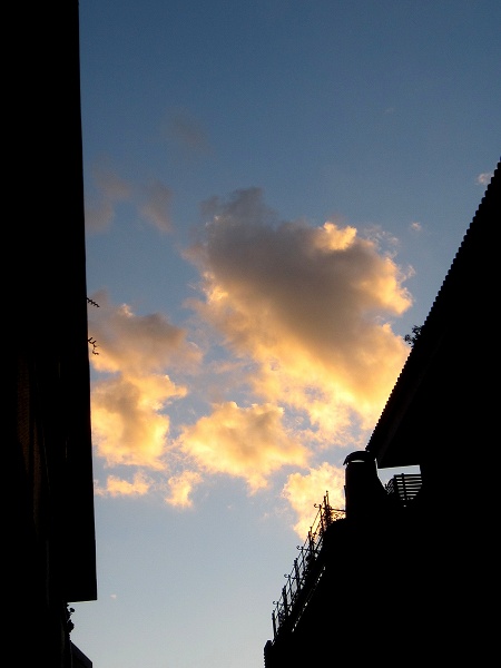 b0064411_68980.jpg