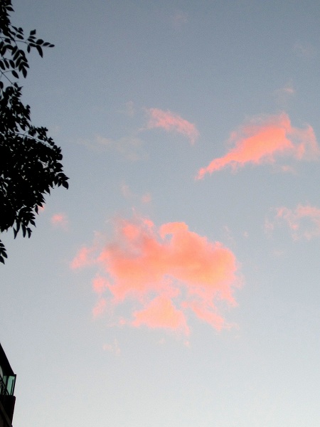 b0064411_691163.jpg