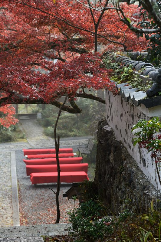 2013京都の紅葉!・神蔵寺　其の二_f0032011_19345451.jpg