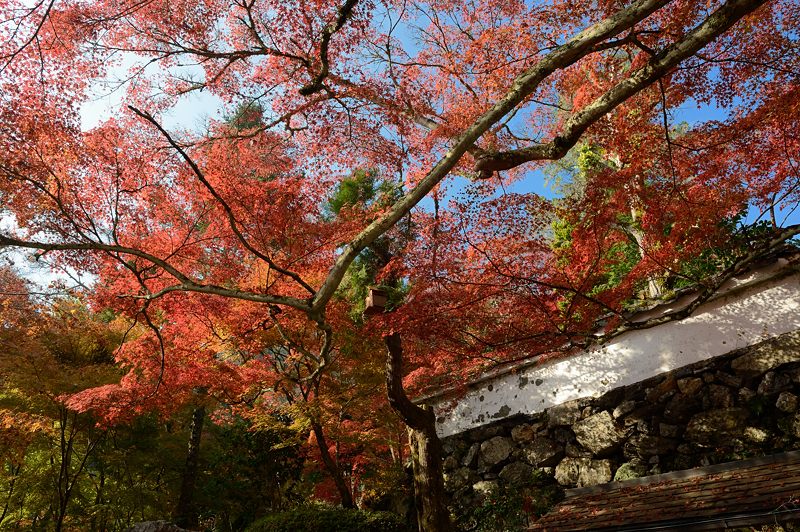 2013京都の紅葉!・神蔵寺　其の二_f0032011_19375141.jpg