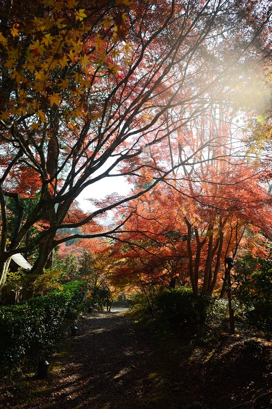 2013京都の紅葉!・神蔵寺　其の二_f0032011_1939363.jpg