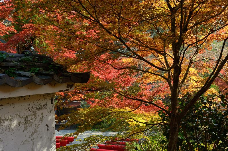 2013京都の紅葉!・神蔵寺　其の二_f0032011_19395642.jpg