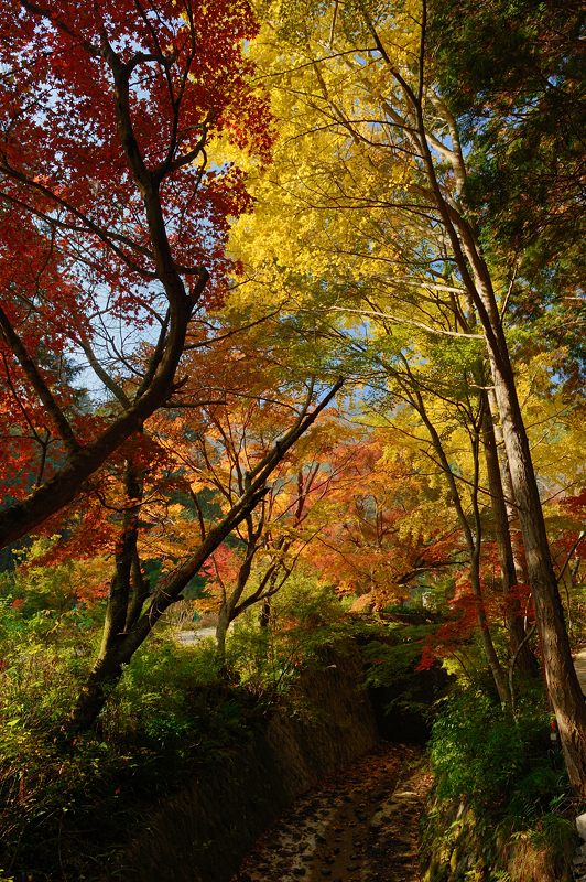 2013京都の紅葉!・神蔵寺　其の二_f0032011_1940888.jpg