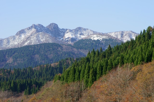 f0011412_16291684.jpg