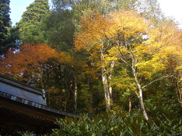 e0033713_10091455.jpg