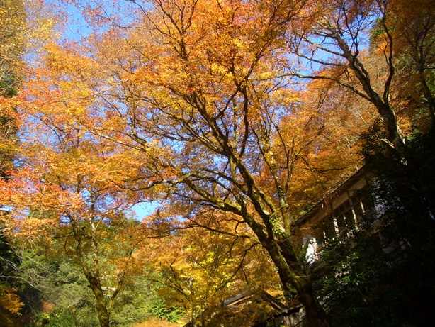 e0033713_10093510.jpg