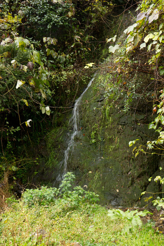 a0278914_16112791.jpg