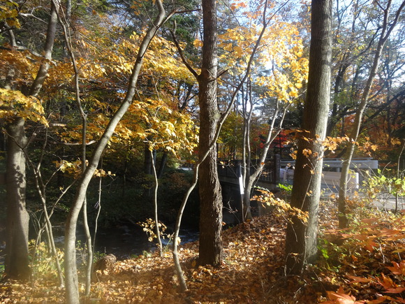 e0256814_11543251.jpg