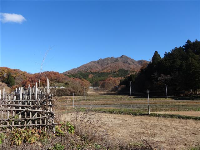 a0127015_21411652.jpg