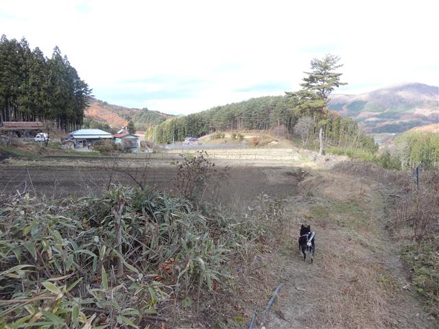 a0127015_2158639.jpg
