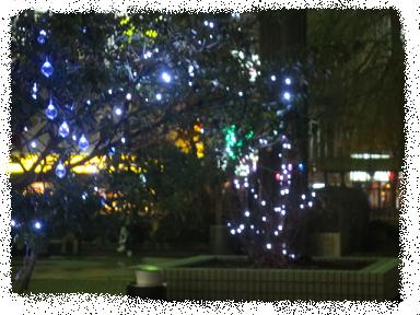 f0248616_0222344.jpg