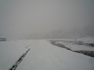 c0189218_7463854.jpg
