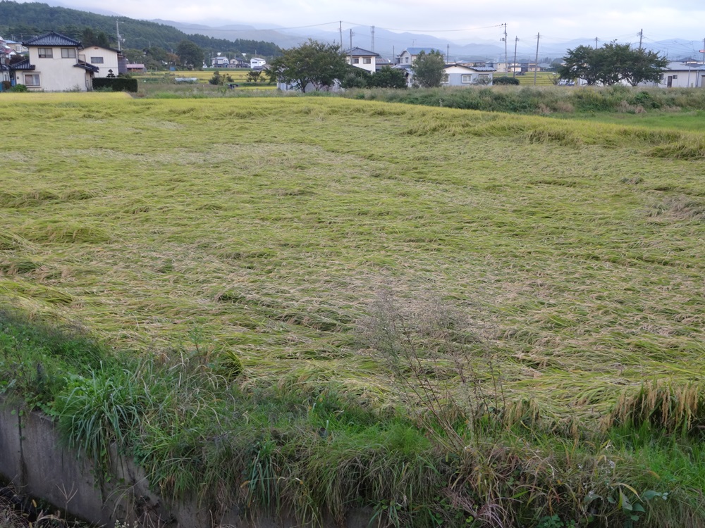 d0109319_2211460.jpg