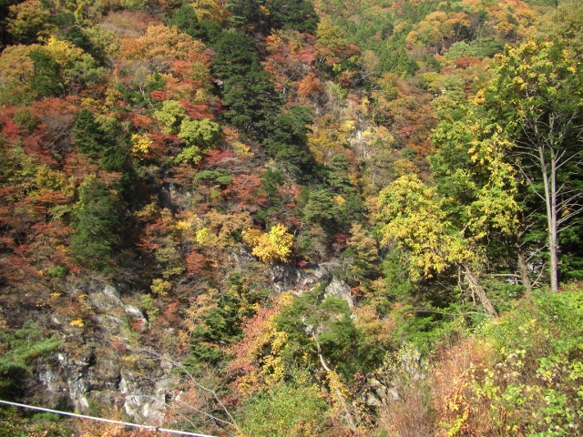 c0074721_15243689.jpg