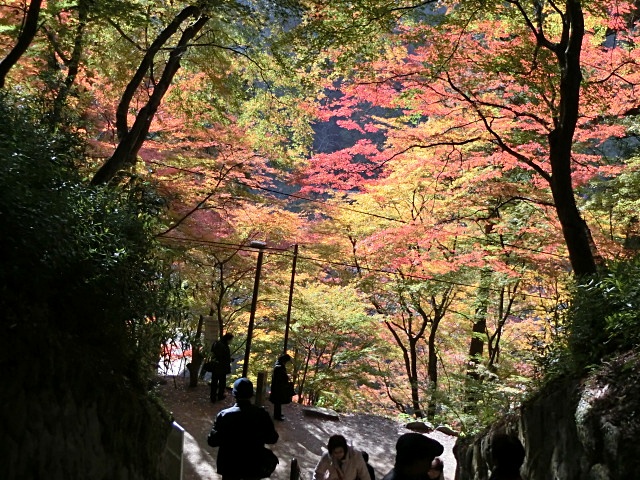 e0234924_1145439.jpg