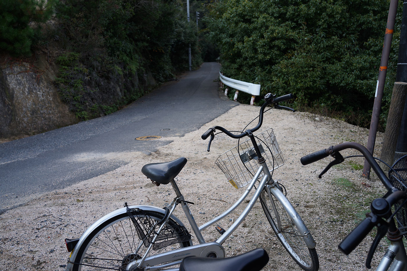 秋の安芸の宮島4〜（登山はなし）_c0064025_1732138.jpg