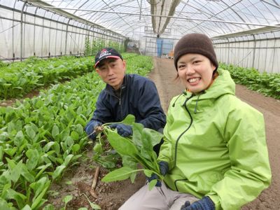 平澤さんちでワークステイ!_e0061225_10572238.jpg