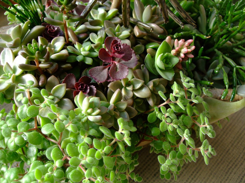 f0243726_10162476.jpg
