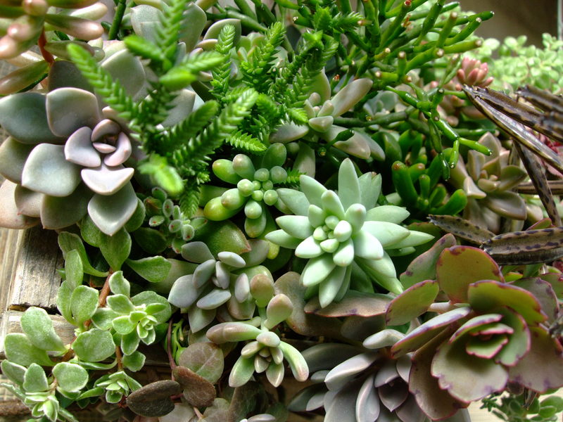 f0243726_1017856.jpg
