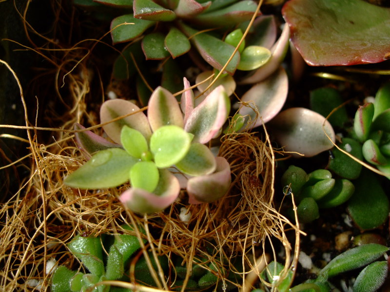 f0243726_10201894.jpg
