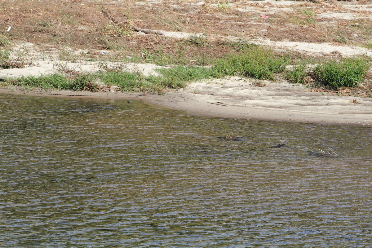 b0222029_17382566.jpg