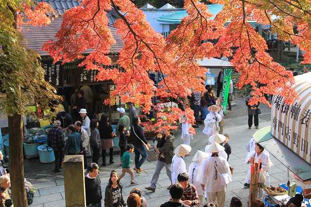 １１月１６日　結願所　大窪寺_a0045932_13235329.jpg