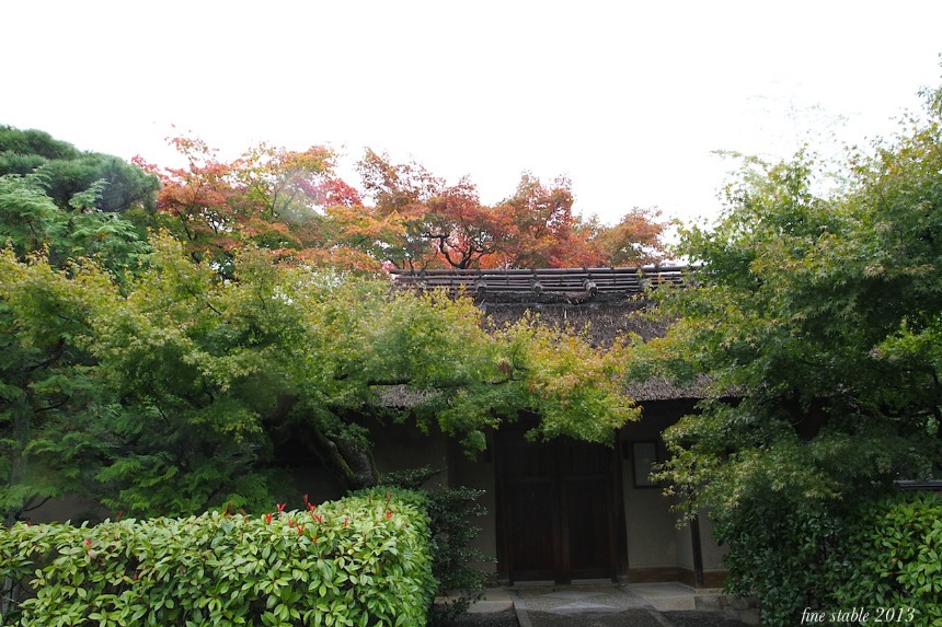 c0240132_63868.jpg