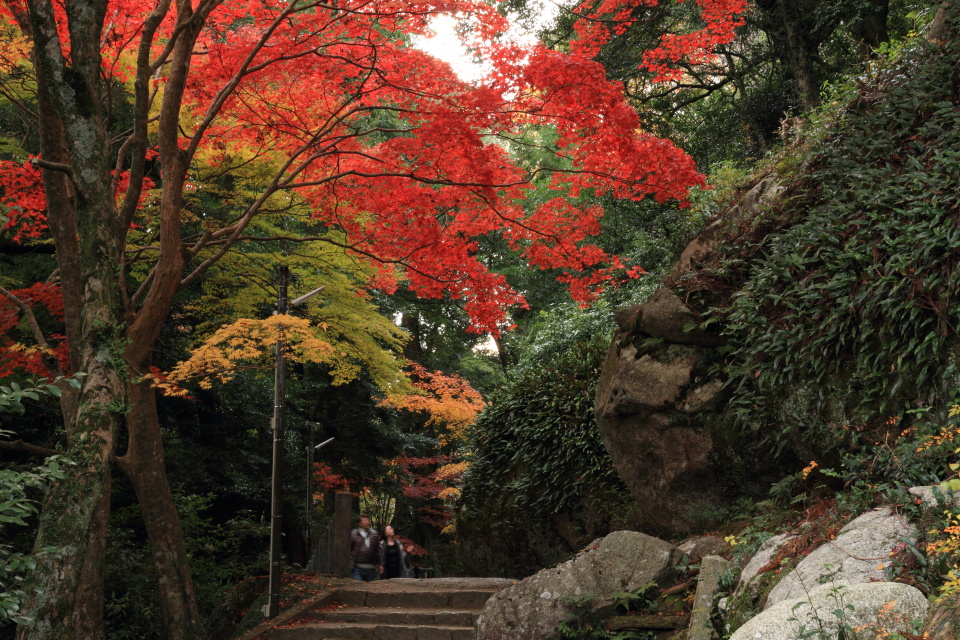 笠置山もみじ公園_a0203733_202826100.jpg