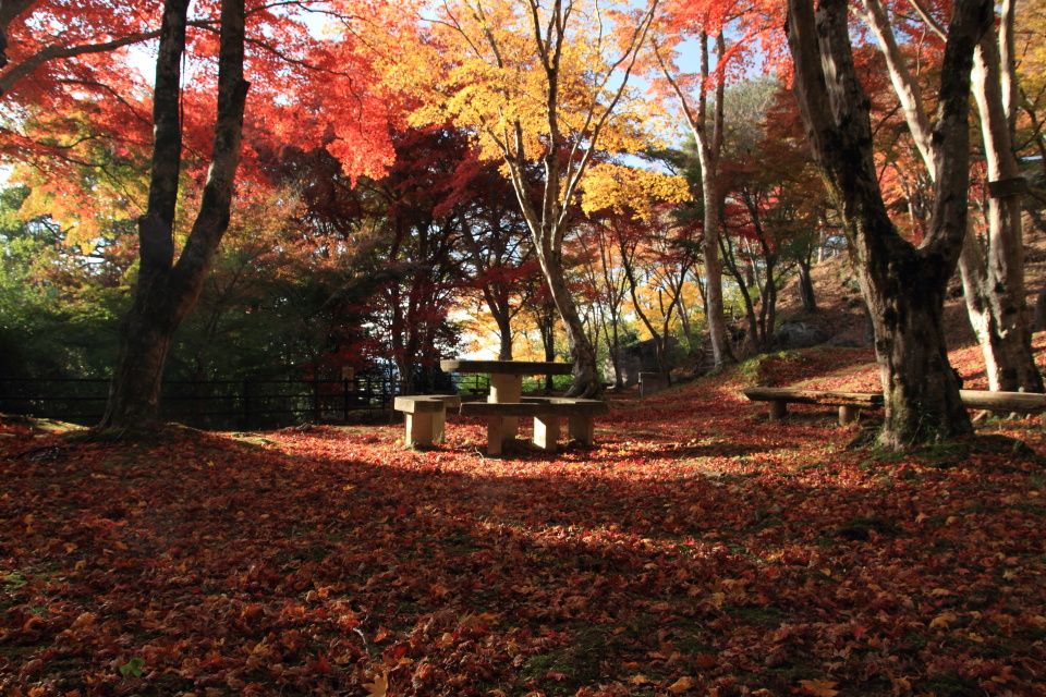 笠置山もみじ公園_a0203733_21422842.jpg