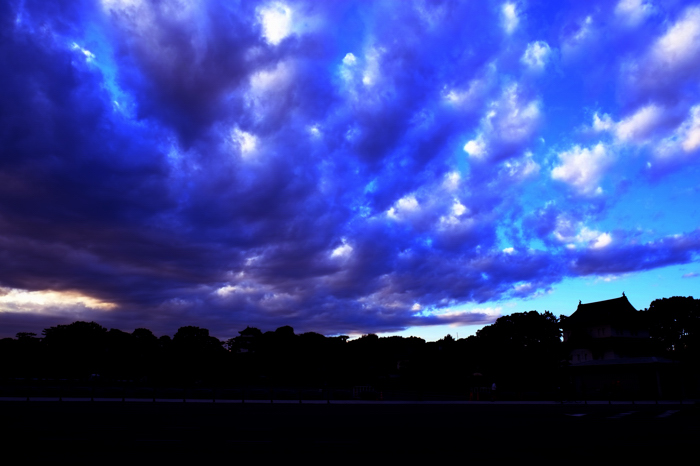b0281035_2255256.jpg