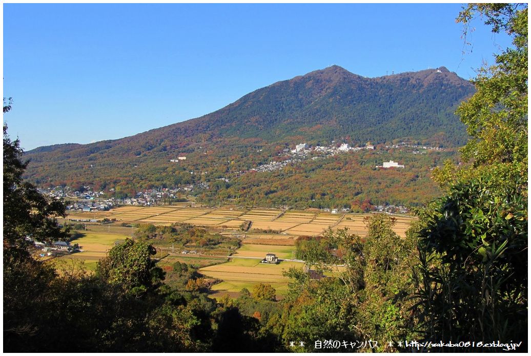 筑波山のすそ野で・・・_e0052135_2216640.jpg