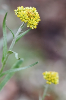 c0172139_1728459.jpg