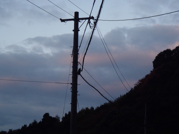 a0054240_05350.jpg