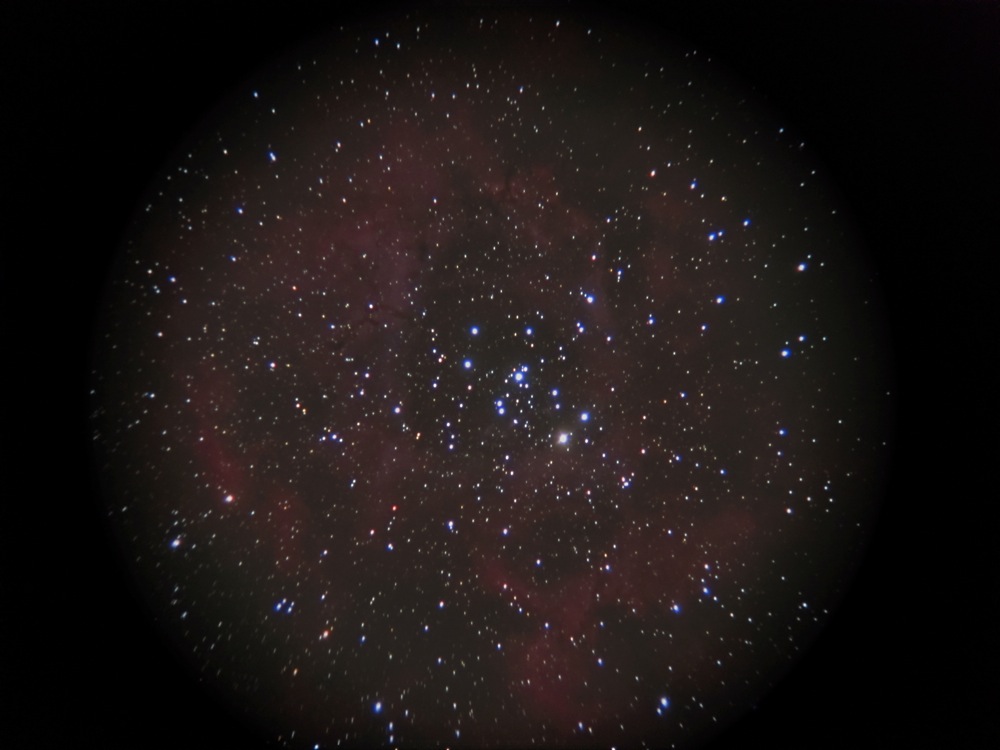 バラ星雲 2013_b0167343_0362533.jpg