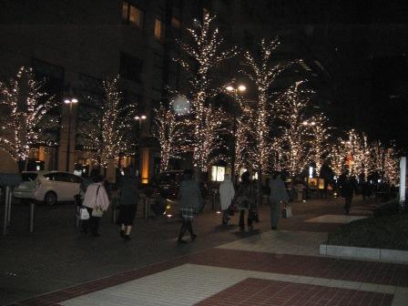 ちょっと寒いけど・・・・・・穏やかな天気ですね・・・・・_c0206545_10391922.jpg