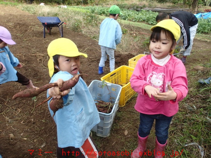 d0105749_17453313.jpg