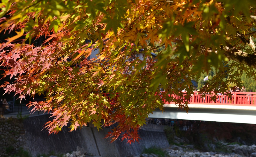 a0055650_1111299.jpg